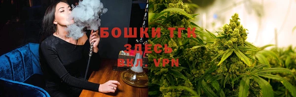 гашик Снежногорск