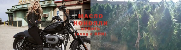 скорость Краснослободск