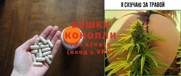 молекула духа Корсаков
