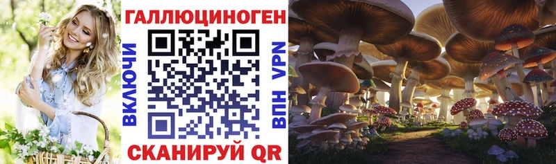 Купить где  Балей  Псилоцибиновые грибы GOLDEN TEACHER 