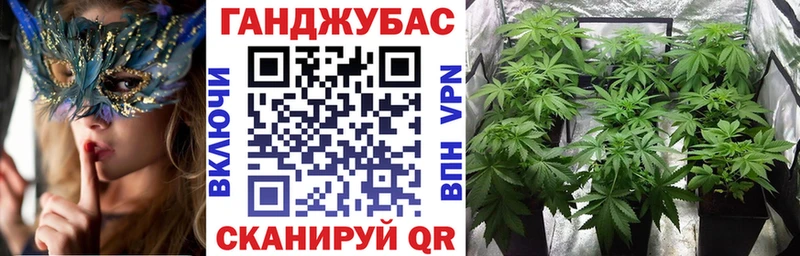 Купить где  Балей  Шишки марихуана SATIVA & INDICA 